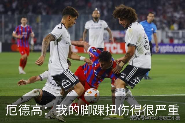 厄德高：我的脚踝扭伤得很严重